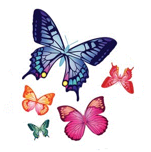 10 butterflies