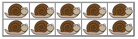 snail