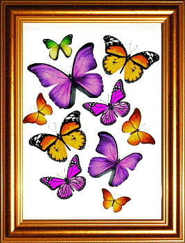 10 butterflies