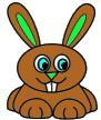 bunny