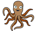 octopus