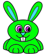 bunny