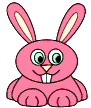 bunny