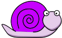 snail